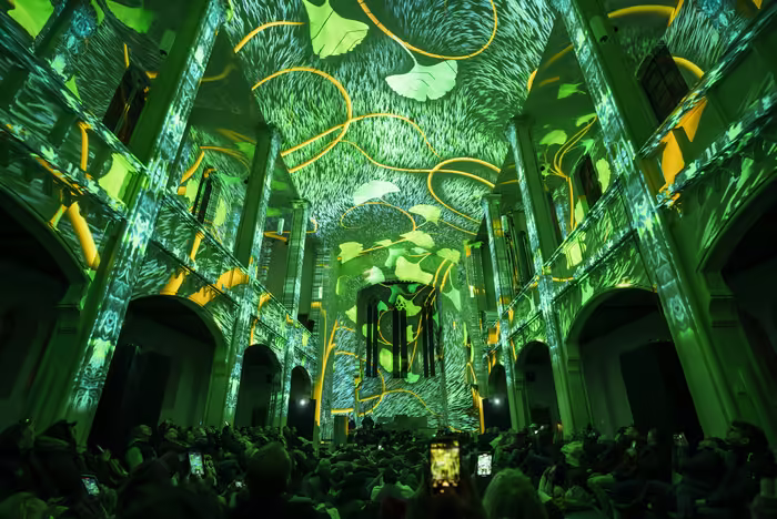 Spectacle Lumineux et Immersif à Bordeaux